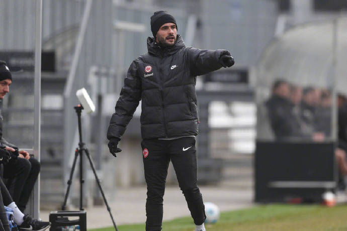 多特蒙德法兰克福回放